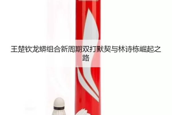 wang-chu-qin-long-mang-zu-he-xin-zhou-qi-shuang-da-mo-qi-yu-lin-shi-dong-jue-qi-zhi-lu-2-872.jpg