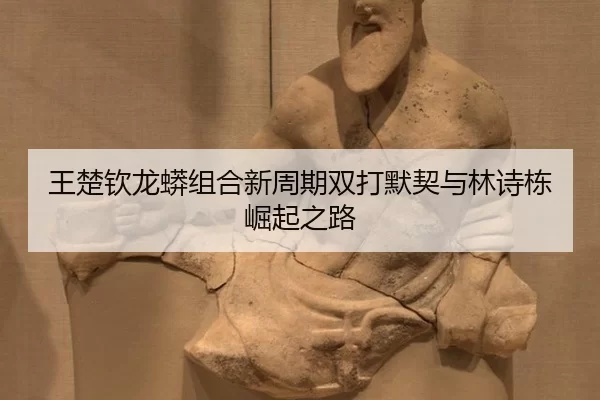 wang-chu-qin-long-mang-zu-he-xin-zhou-qi-shuang-da-mo-qi-yu-lin-shi-dong-jue-qi-zhi-lu-3-662.jpg