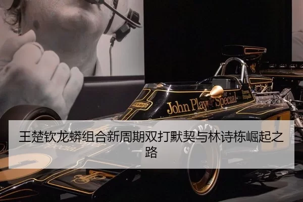 王楚钦龙蟒组合新周期双打默契与林诗栋崛起之路