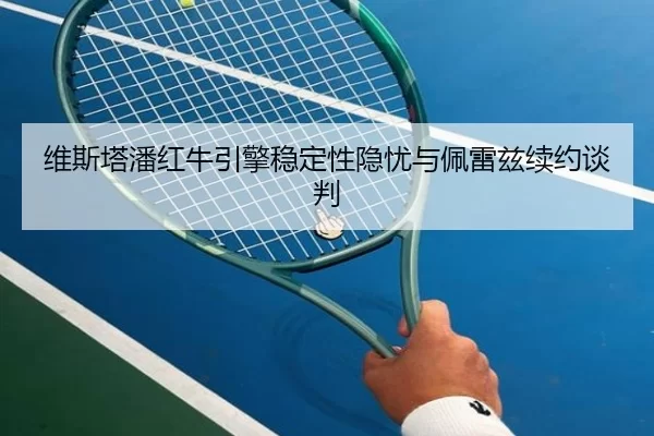 wei-si-ta-pan-hong-niu-yin-qing-wen-ding-xing-yin-you-yu-pei-lei-zi-xu-yue-tan-pan-3-666.jpg