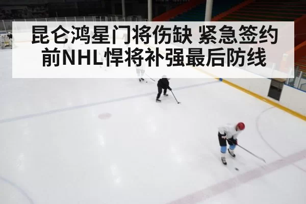 ice hockey rink