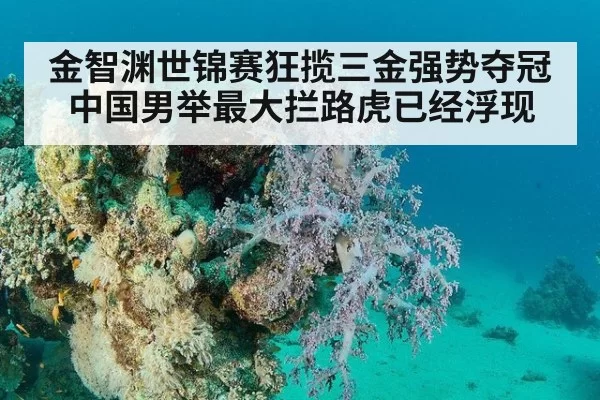 金智渊世锦赛狂揽三金强势夺冠 中国男举最大拦路虎已经浮现